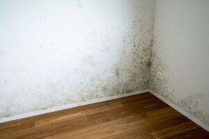 toxic-mold-growths-in-corner